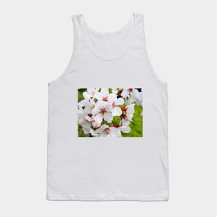 Photography - More cherry blossom Tank Top